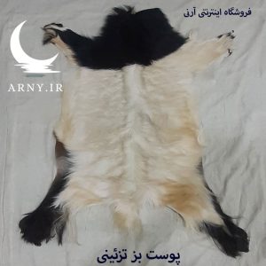 پوست بز