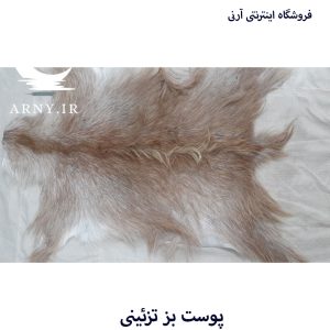 پوست بز