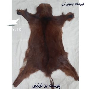 پوست بز