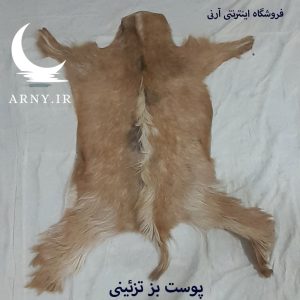 پوست بز