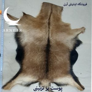 پوست بز