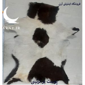 پوست بز