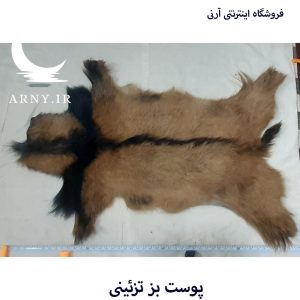 پوست بز