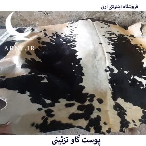 پوست گاو سفید مشکی