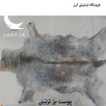 پوست بز بزرگ جذاب بینظیر کد B2 - Image 2