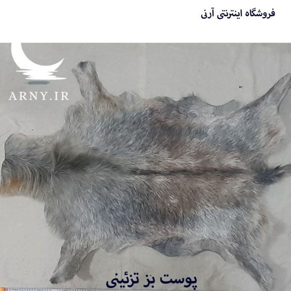 پوست بز بزرگ جذاب بینظیر کد B2 - Image 2