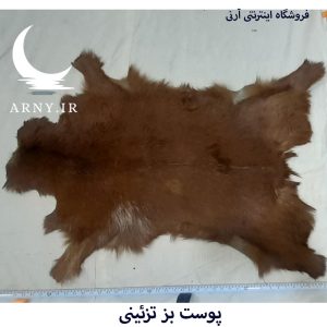 پوست بز