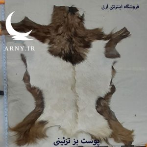 پوست بز
