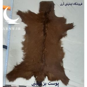 پوست بز