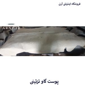 پوست گاو