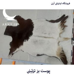 پوست بز