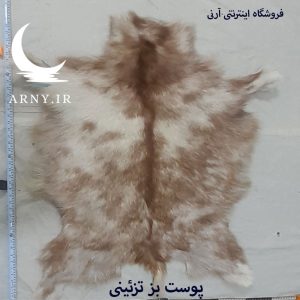 پوست بز