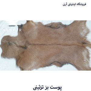 پوست بز