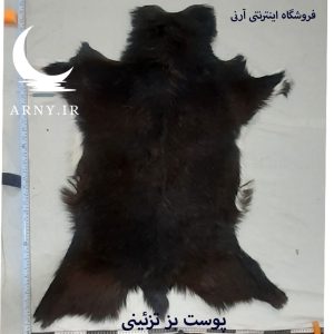 پوست بز