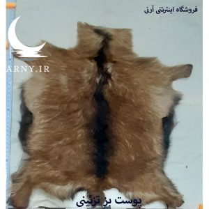 پوست بز