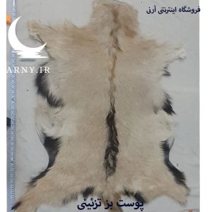 پوست بز
