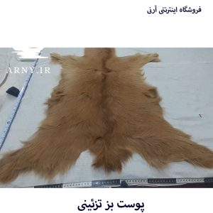 پوست بز