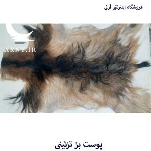 پوست بز