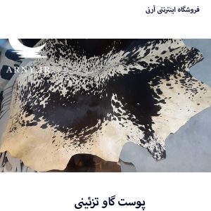 میکروسکوپ