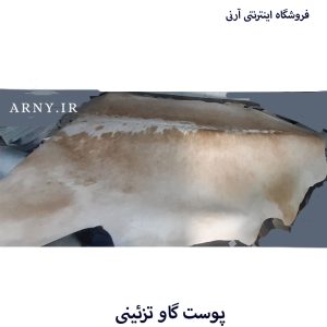 پوست گاو