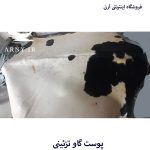پوست گاو سفید سر مشکی کد A6 - Image 2