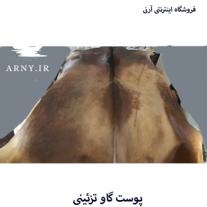 پوست گاو
