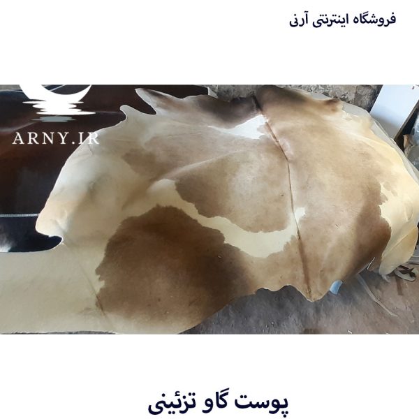 پوست گاو شیری جذاب کد A9 - Image 3