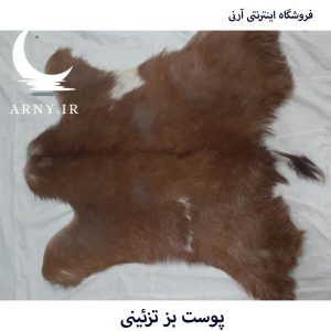 پوست بز