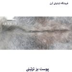 پوست بز بزرگ جذاب بینظیر کد B2 - Image 10