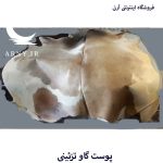 پوست گاو شیری جذاب کد A9 - Image 4