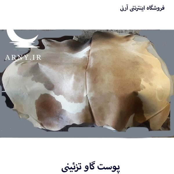 پوست گاو شیری جذاب کد A9 - Image 4