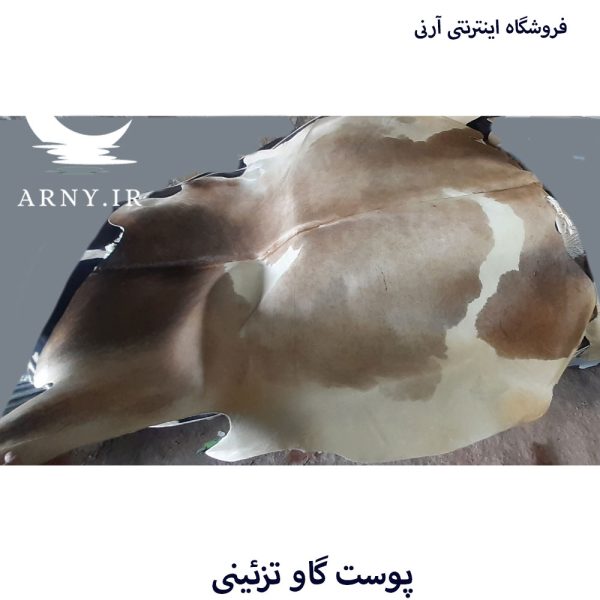 پوست گاو شیری جذاب کد A9 - Image 5