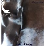 پوست گاو مشکی دور سفید کد A4 - Image 4