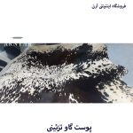 پوست گاو سفید مشکی جذاب کد A21 - Image 3