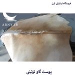 پوست گاو شیری کد A5 - Image 3