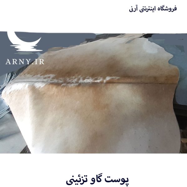 پوست گاو شیری کد A5 - Image 3