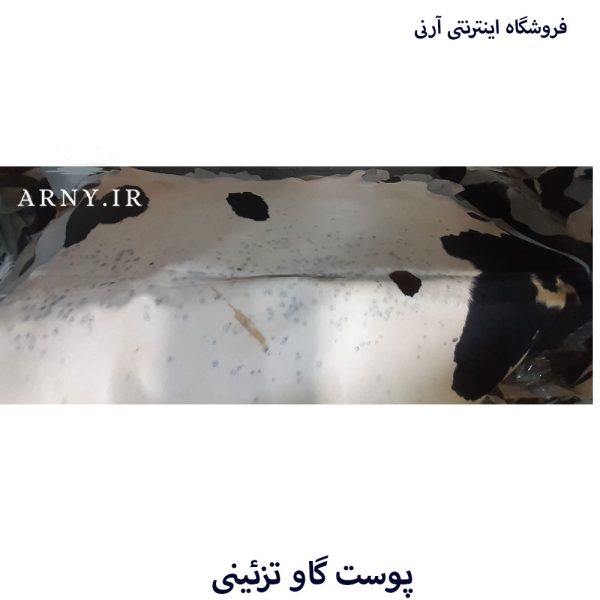 پوست گاو سفید سر مشکی کد A6 - Image 3