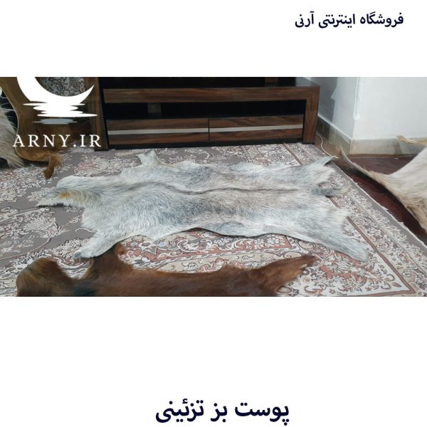پوست بز