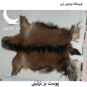 پوست بز