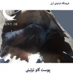 پوست گاو مشکی دور سفید کد A4