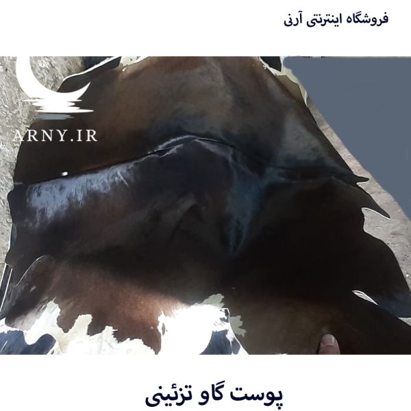 پوست گاو مشکی دور سفید کد A4 - Image 5