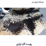 پوست گاو سفید مشکی جذاب کد A21 - Image 4