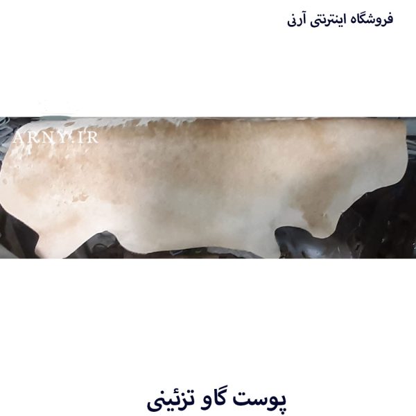پوست گاو شیری کد A5 - Image 4