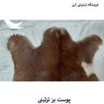 پوست بز طرح روح - Image 5