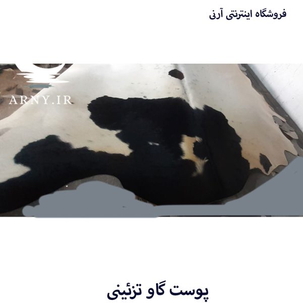 پوست گاو سفید سر مشکی کد A6 - Image 5