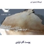 پوست گاو شیری کد A5 - Image 6