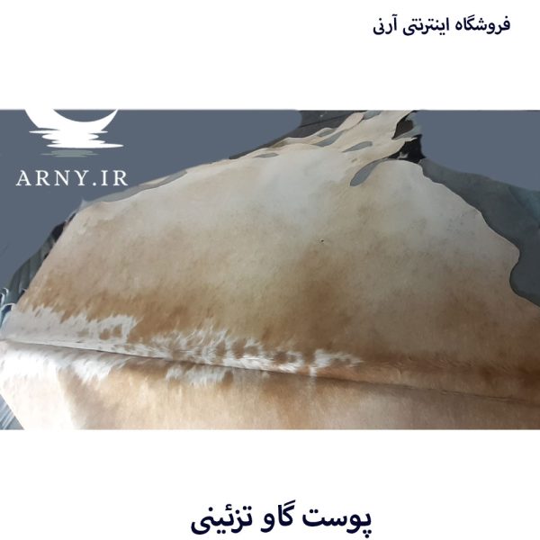 پوست گاو شیری کد A5 - Image 6