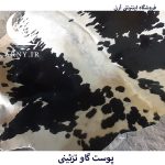 پوست گاو سفید مشکی قشنگ  کد A1 - Image 7