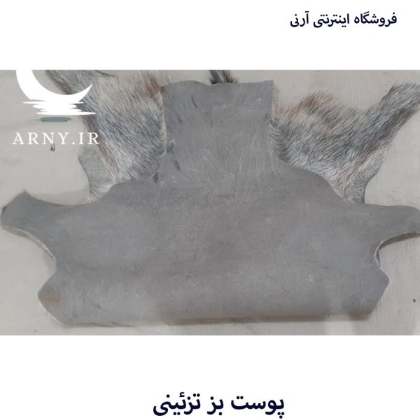 پوست بز بزرگ جذاب بینظیر کد B2 - Image 5