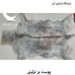 پوست بز بزرگ جذاب بینظیر کد B2 - Image 6